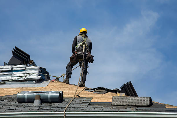 Professional Flat Roof Repair technician working in Somonauk, IL